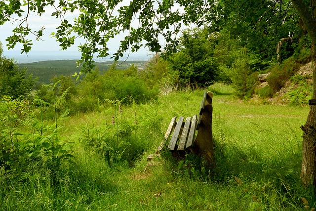 升欧洲联盟 升欧洲联盟